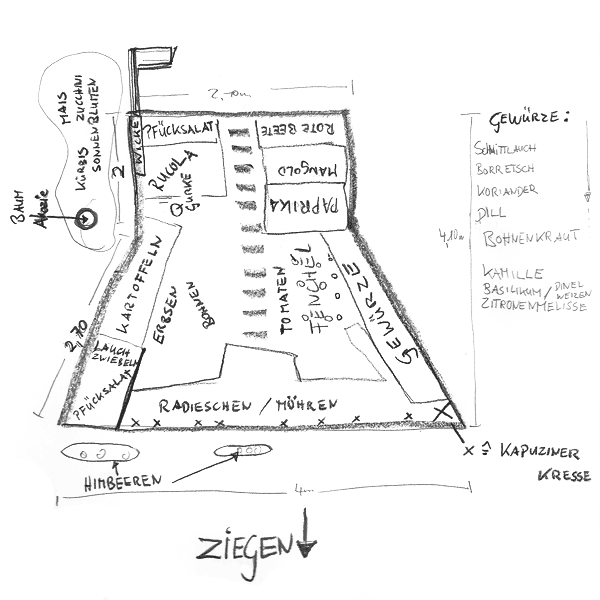 Bepflanzung des Hochbeetes